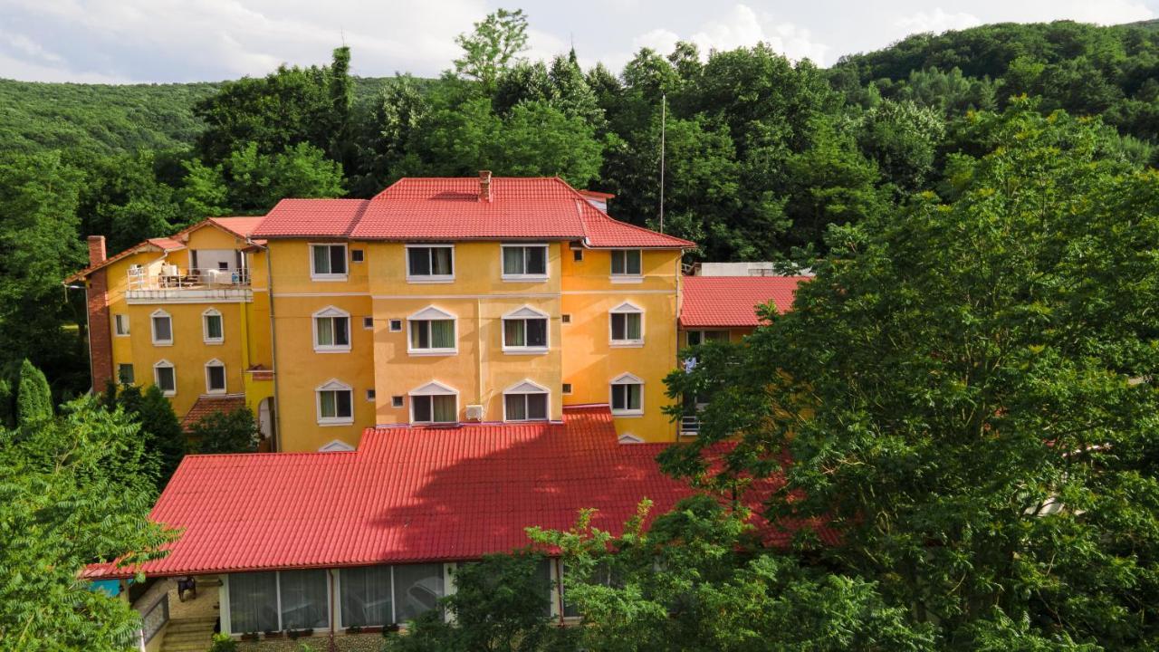 Aida Hotel Spa & Tratament Geoagiu Băi Eksteriør bilde