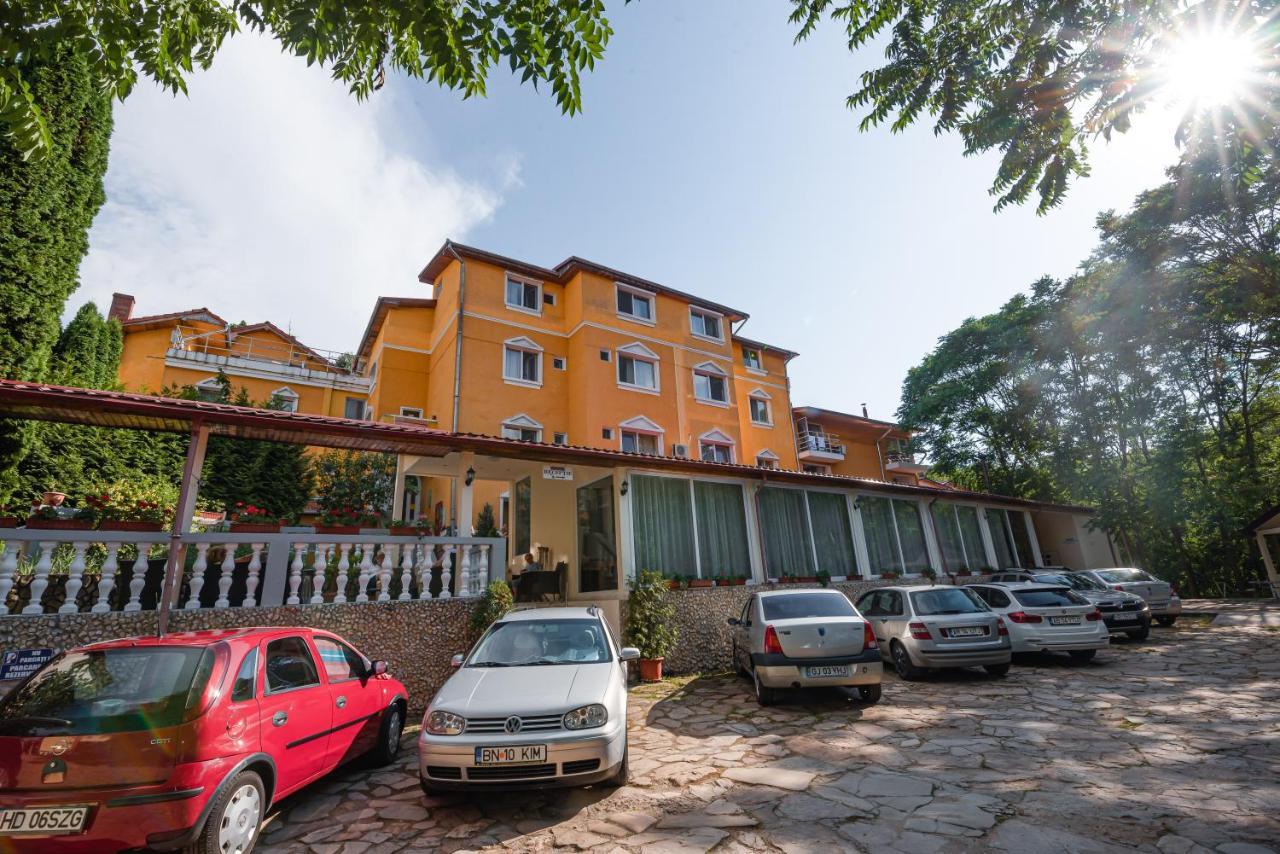 Aida Hotel Spa & Tratament Geoagiu Băi Eksteriør bilde